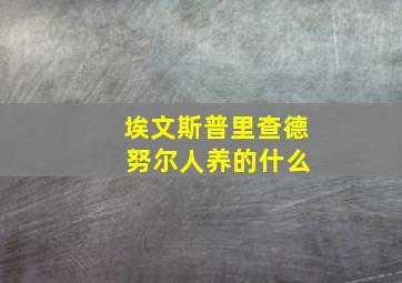 埃文斯普里查德 努尔人养的什么